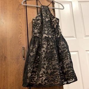 Tobi Black Lace Overlay Halter Skater Dress